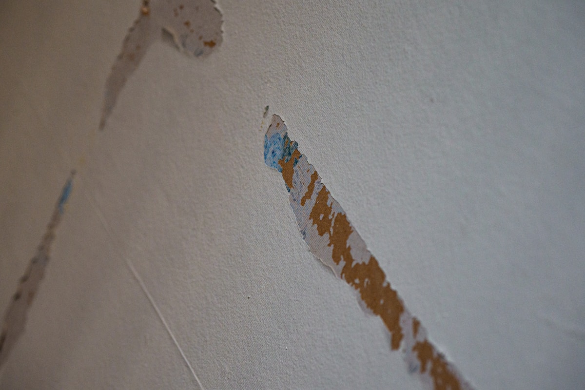 Mold Remediation service in Farmington, NM